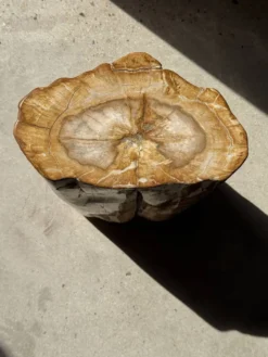 Table d'appoint en bois pétrifié orange doré et blanche ovale H46 D38 - 333