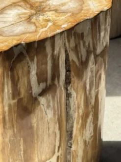 Table d'appoint en bois pétrifié orange doré et blanche ovale H46 D38 - 333