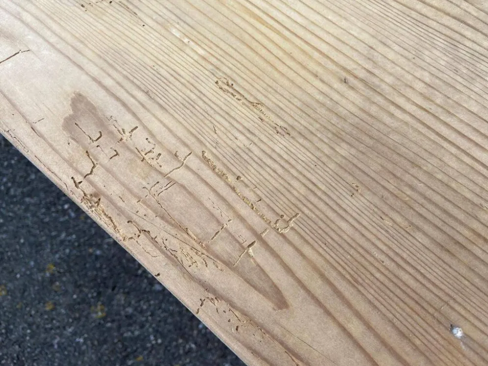 Table de café, bistrot alsacienne en sapin naturel brut, 1930