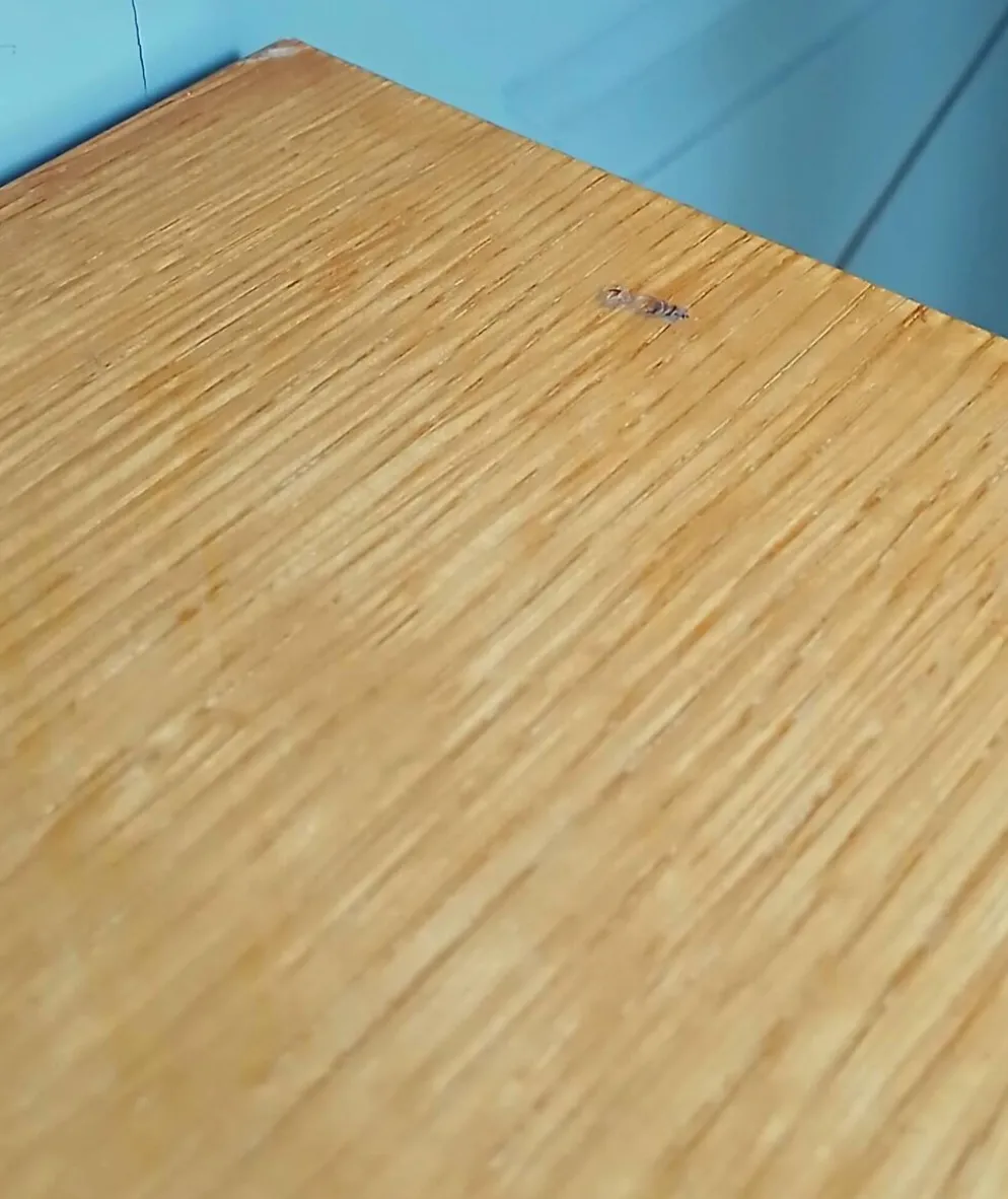 Table de chevet en placage de chêne doré. Vers 1970