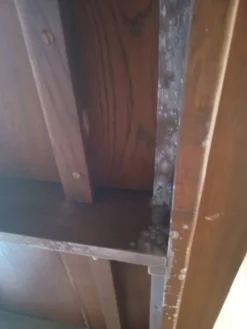 Table de ferme