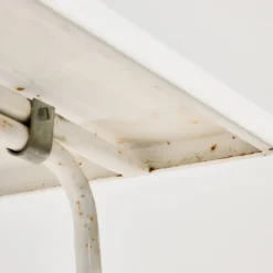 Table de jardin pliante par Karasek