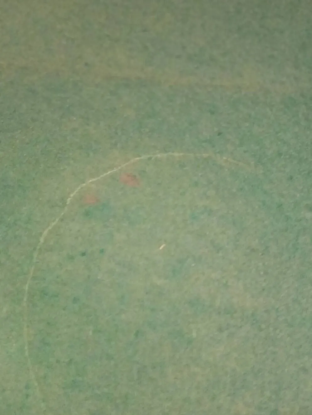 Table de jeu