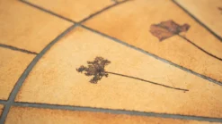 Table à manger rare de Roger Capron