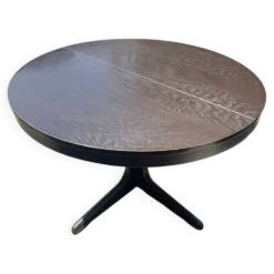 Table ronde Baumann