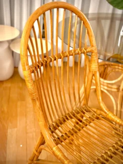 Table rotin verre fumé + chaises
