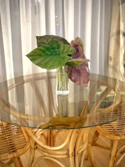 Table rotin verre fumé + chaises