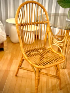 Table rotin verre fumé + chaises