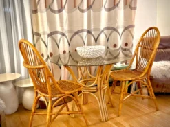 Table rotin verre fumé + chaises