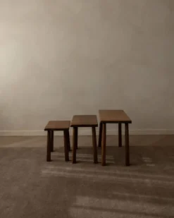 Tables d'appoint en chêne vintage (ensemble de 3) – Tables latérales rustiques modernistes, années 1970