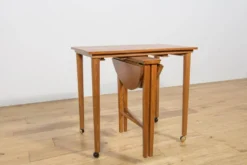 Tables gigognes danoises des années 50 par Poul Hundevad pour Novy Domov, Tchécoslovaquie, années 1960, ensemble de 5.