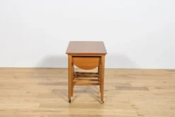 Tables gigognes danoises des années 50 par Poul Hundevad pour Novy Domov, Tchécoslovaquie, années 1960, ensemble de 5.