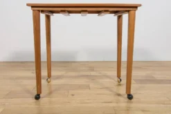 Tables gigognes danoises des années 50 par Poul Hundevad pour Novy Domov, Tchécoslovaquie, années 1960, ensemble de 5.