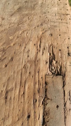 Établi ancien de menuisier en chêne massif avec presse