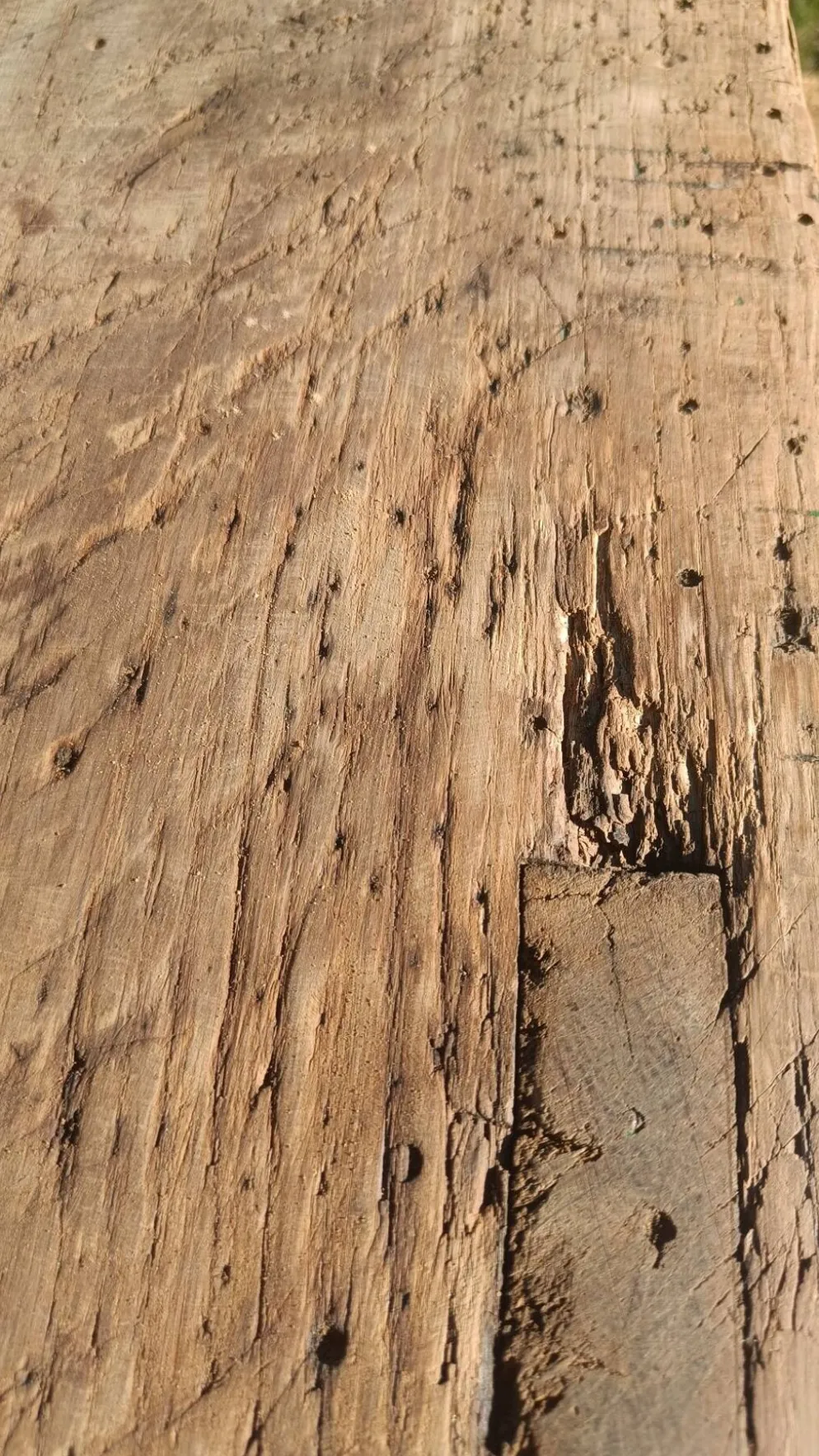 Établi ancien de menuisier en chêne massif avec presse