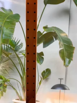 Étagère bibliothèque modulable IKEA 80