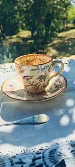 Tasse et soucoupe Sarreguemines Minton