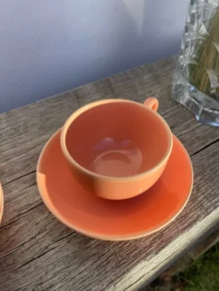 6 tasses en céramique maison Pagnossin Italie