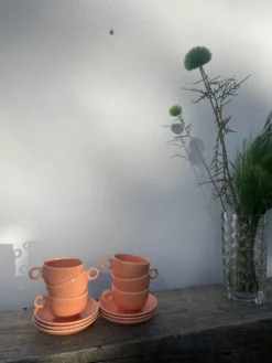 6 tasses en céramique maison Pagnossin Italie