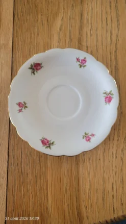 5 tasses et sous-tasses Seltmann Weiden Bavaria Modèle Nora