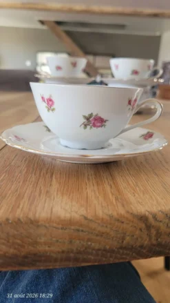 5 tasses et sous-tasses Seltmann Weiden Bavaria Modèle Nora