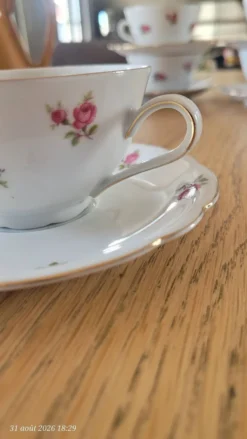 5 tasses et sous-tasses Seltmann Weiden Bavaria Modèle Nora