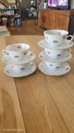 5 tasses et sous-tasses Seltmann Weiden Bavaria Modèle Nora