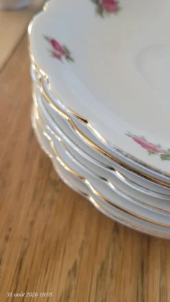 6 tasses et sous-tasses vintage Seltmann Weiden Bavaria Modèle Nora