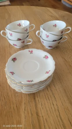 6 tasses et sous-tasses vintage Seltmann Weiden Bavaria Modèle Nora