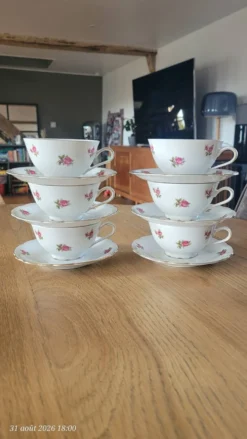 6 tasses et sous-tasses vintage Seltmann Weiden Bavaria Modèle Nora