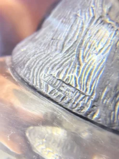 Tasses à liqueur en argent plaqué animal avec plateau de service assorti, ensemble de 6