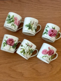 6 tasses 5 soucoupes porcelaine fleurie Hutschenreuther