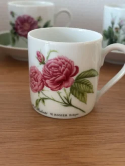 6 tasses 5 soucoupes porcelaine fleurie Hutschenreuther