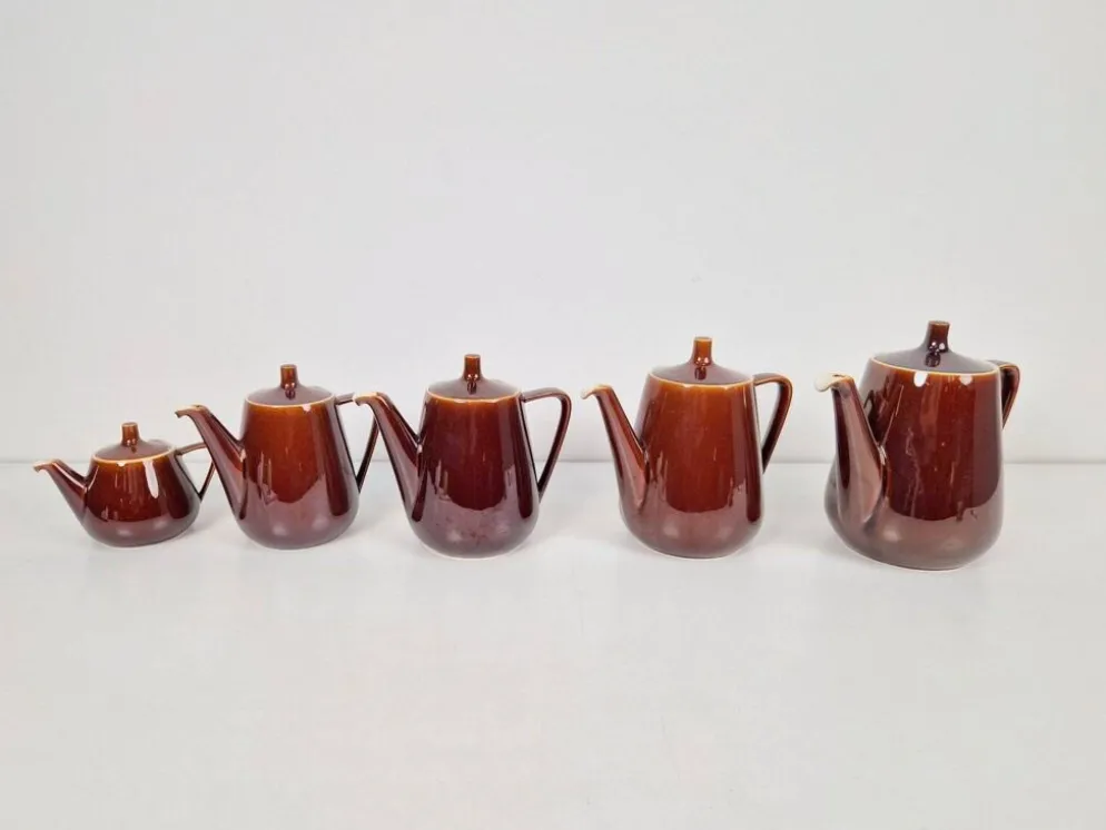 Théières en porcelaine de Villeroy & Boch, années 1960, ensemble de 5