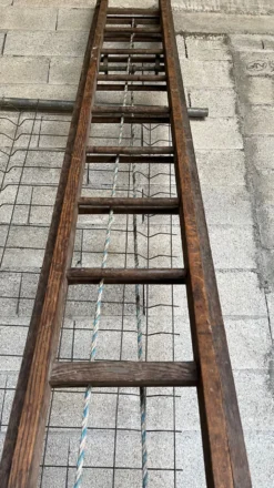 Très grande échelle en bois coulissante vintage