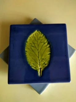 Un ensemble de deux dessous de plat