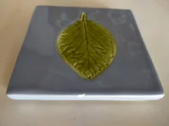 Un ensemble de deux dessous de plat