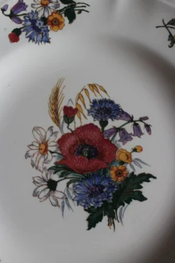 Un lot 6 assiettes plates paires Sarreguemines Lunéville Fleurs Bleu
