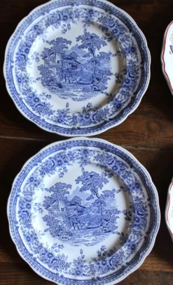 Un lot 6 assiettes plates paires Sarreguemines Lunéville Fleurs Bleu