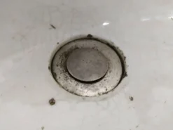 Vasque évier porcelaine sur pied