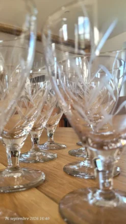 8 verres à pied anciens en verre gravé