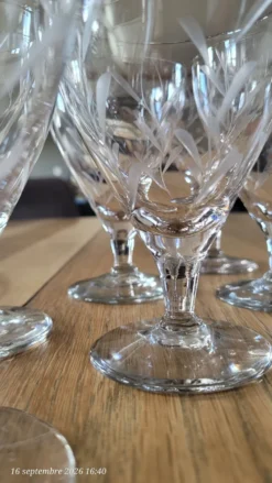 8 verres à pied anciens en verre gravé