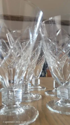 6 verres à pied en verre gravé