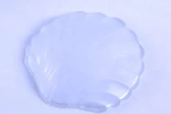 Vide-poche / beurrier coquillage ancien