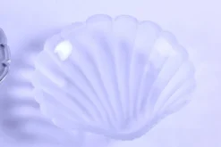Vide-poche / beurrier coquillage ancien