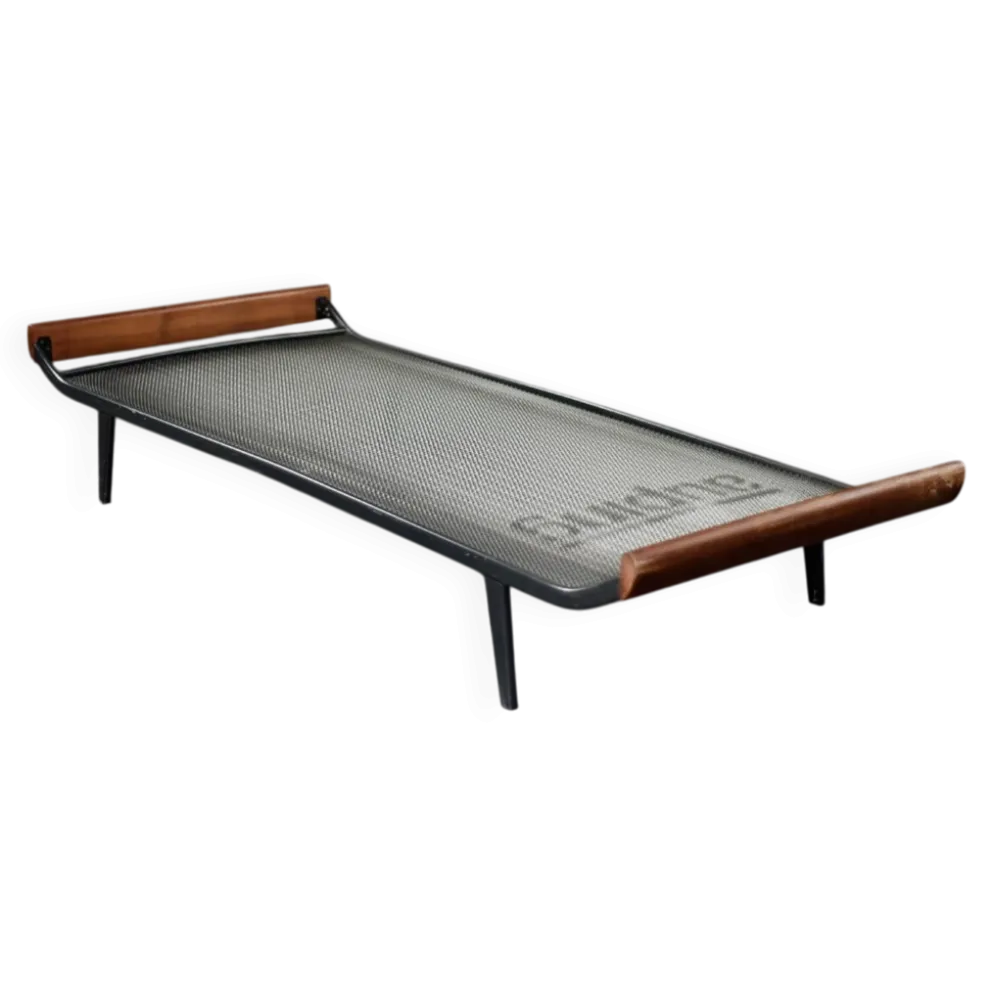 Vintage Mid-Century Dutch Modern Cleopatra Daybed for Auping