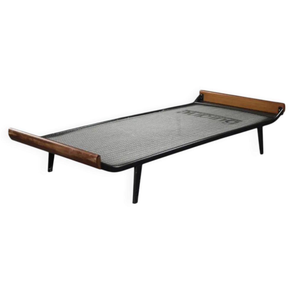 Vintage Mid-Century Dutch Modern Cleopatra Daybed by Dick Cordemeyer