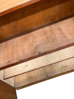 Vitrine/armoire de pharmacie/armoire de laboratoire vintage en bois peu profonde