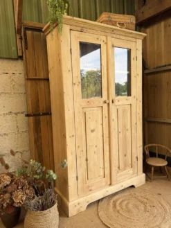 Vitrine / bibliothèque / armoire