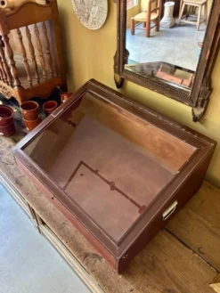 Vitrine de présentation en bois foncé et verre